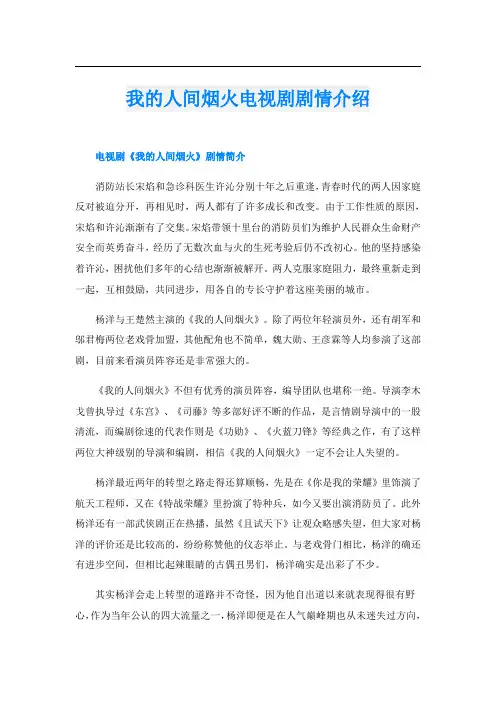 我的人间烟火电视剧剧情介绍