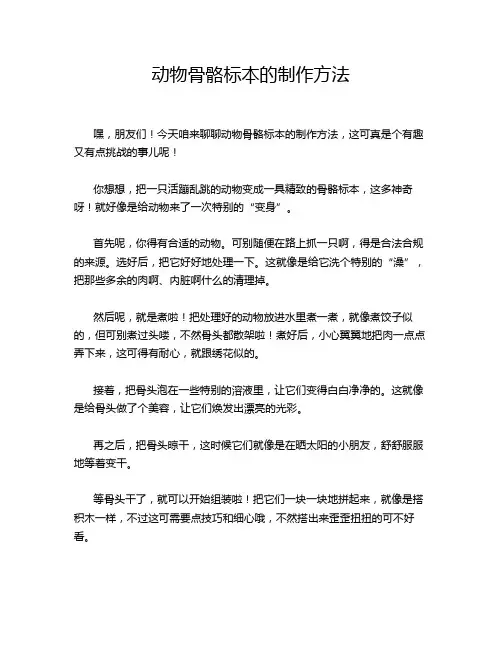 动物骨骼标本的制作方法