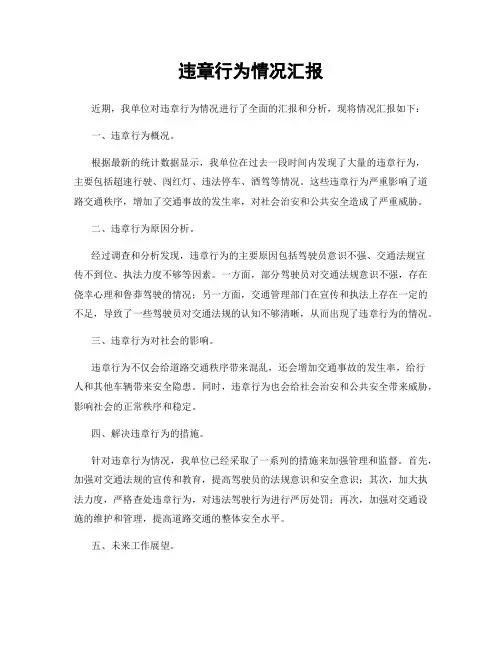 违章行为情况汇报