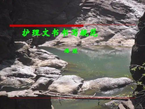 护理文书书写规范