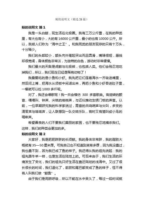 鲸的说明文（精选26篇）