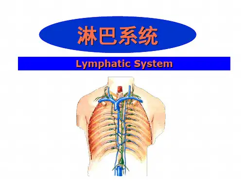 淋巴系统PPT课件