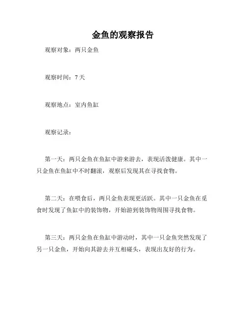 金鱼的观察报告