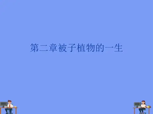 被子植物的一生.完美版PPT