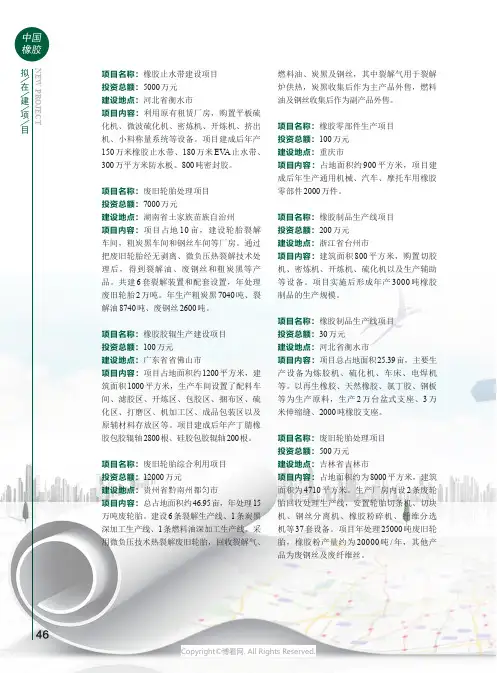 20256199_拟在建项目