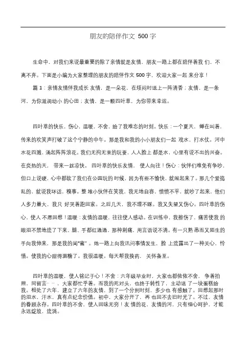 朋友的陪伴作文500字