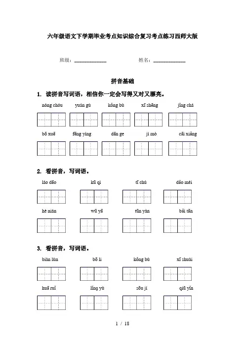 六年级语文下学期毕业考点知识综合复习考点练习西师大版
