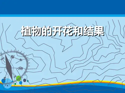 《植物的开花和结果》PPT【精选推荐课件】