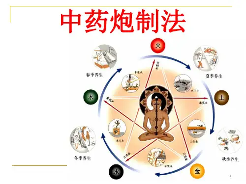 中药炮制的方法PPT参考幻灯片