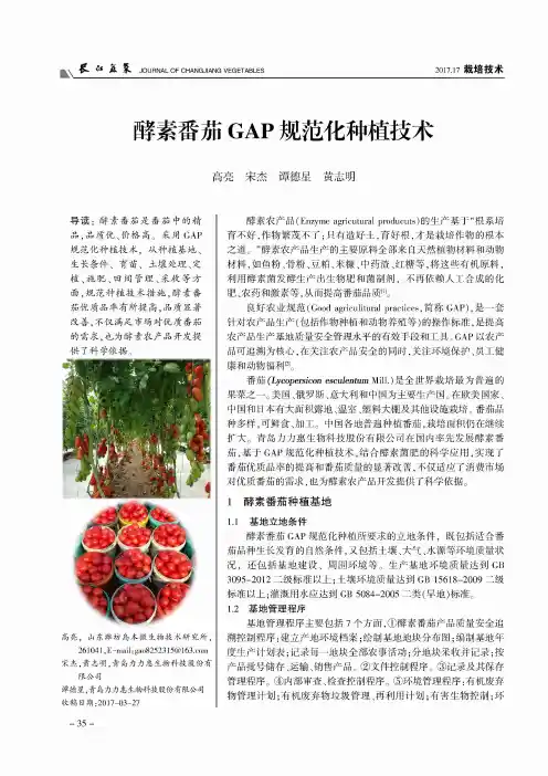 酵素番茄GAP规范化种植技术