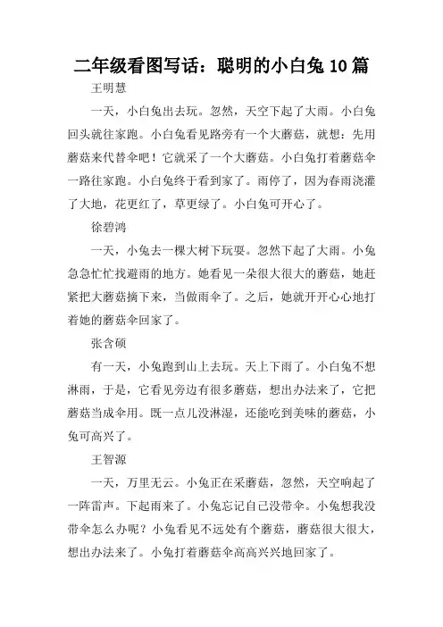 二年级看图写话：聪明的小白兔10篇