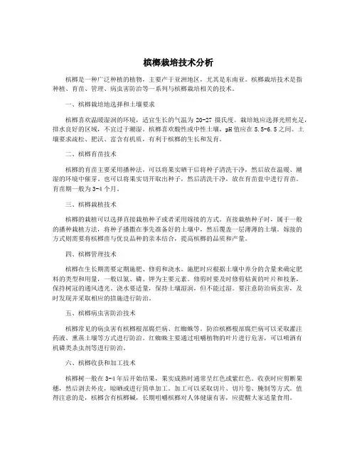 槟榔栽培技术分析
