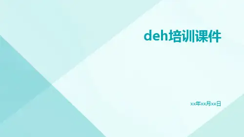 DEH培训课件