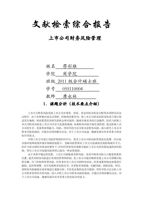 检索报告书写样例-财务风险