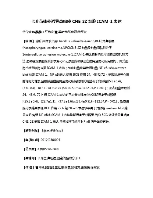 卡介苗体外诱导鼻咽癌CNE-2Z细胞ICAM-1表达