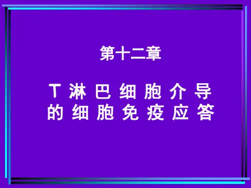 第12章 T淋巴细胞介导的细胞免疫应答