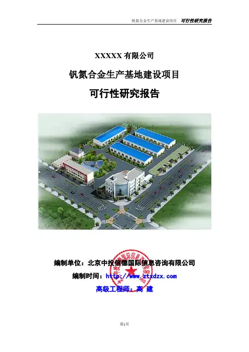 钒氮合金生产基地建设项目可行性研究报告