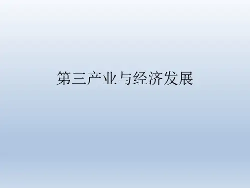 高中地理中图版(上海)第二册课件-专题24 第三产业与经济发展(共49张PPT)