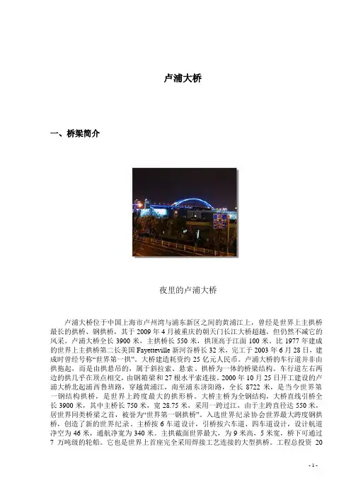 卢浦大桥2