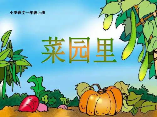 人教版语文一上《菜园里》课件