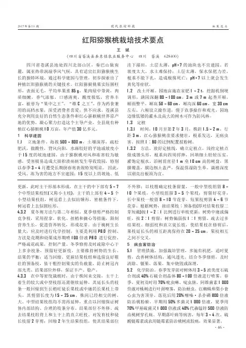 红阳猕猴桃栽培技术要点