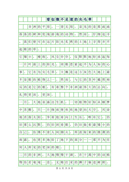 2019年看似微不足道的尖毛草400字作文