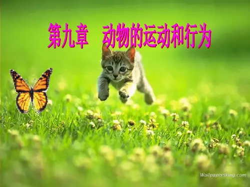 骨的类型及结构