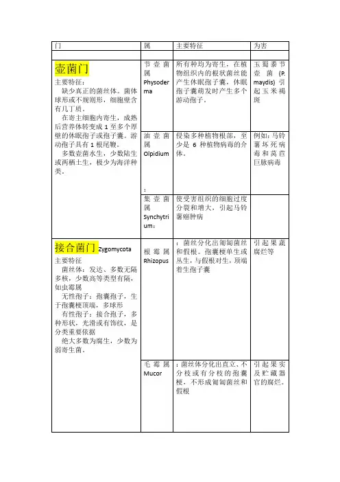 真菌界代表属及其主要特征
