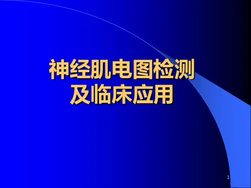 神经肌电图检测及临床应用PPT课件