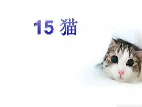 人教版小学四年级语文上册第十五课《猫》