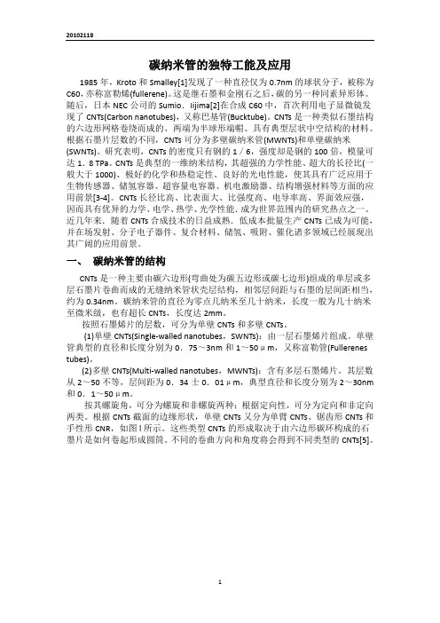 碳纳米管CNTS