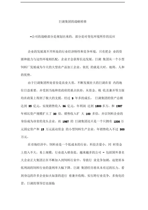 巨湖集团的战略转移