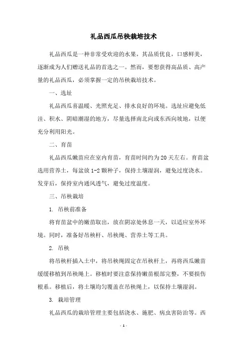 礼品西瓜吊秧栽培技术