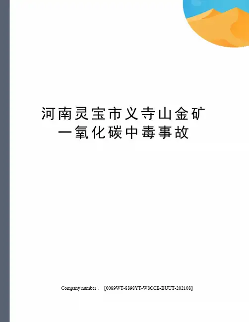 河南灵宝市义寺山金矿一氧化碳中毒事故