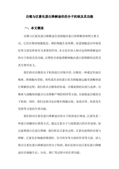 自噬与泛素化蛋白降解途径的分子机制及其功能
