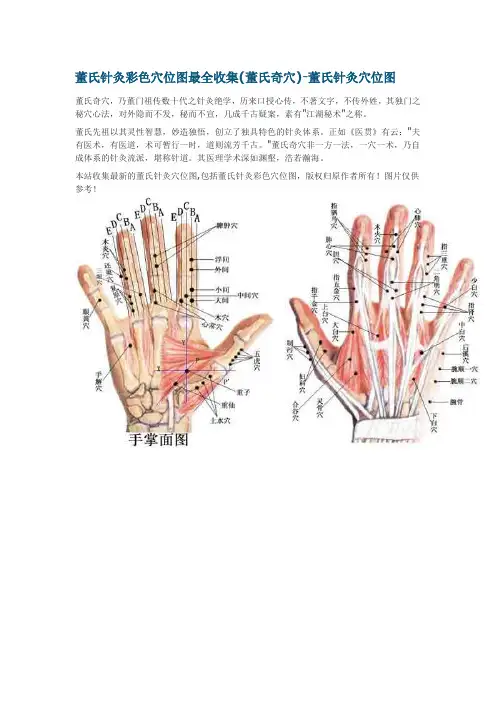 爱爱医资源-董氏针灸彩色穴位图最全收集