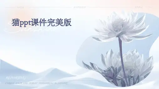 猫ppt课件完美版