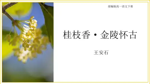 古诗词诵读《桂枝香金陵怀古》课件统编版高中语文必修下册PPT课件
