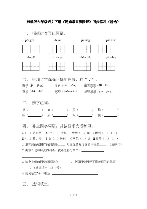 部编版六年级语文下册《汤姆索亚历险记》同步练习(精选)