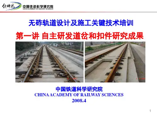 无砟轨道设计及施工关键技术培训-客专道岔扣件研究