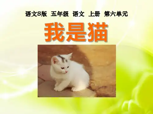 《我是猫》PPT课件4 (共17张PPT)
