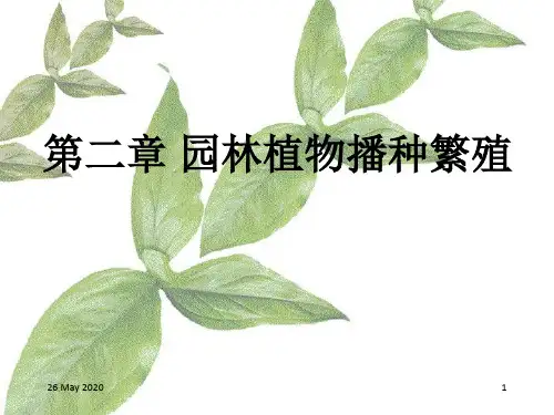 13第二章园林植物播种育苗精要