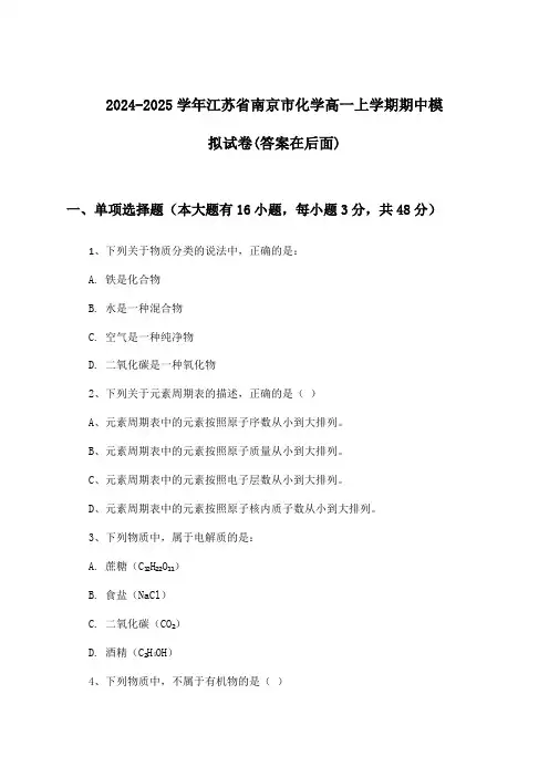 江苏省南京市化学高一上学期期中试卷及答案指导(2024-2025学年)