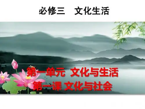 2014届高三第一轮复习课件《文化生活》第一课文化与社会