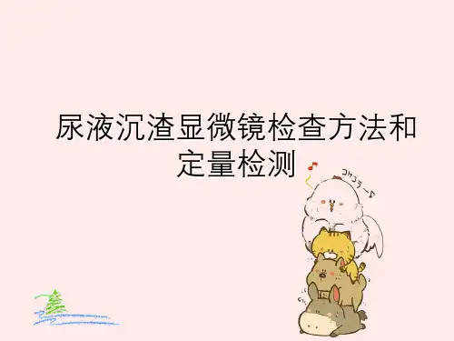 尿液沉渣显微镜检查方法与定量检测
