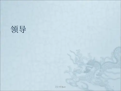 团队领导理论ppt课件
