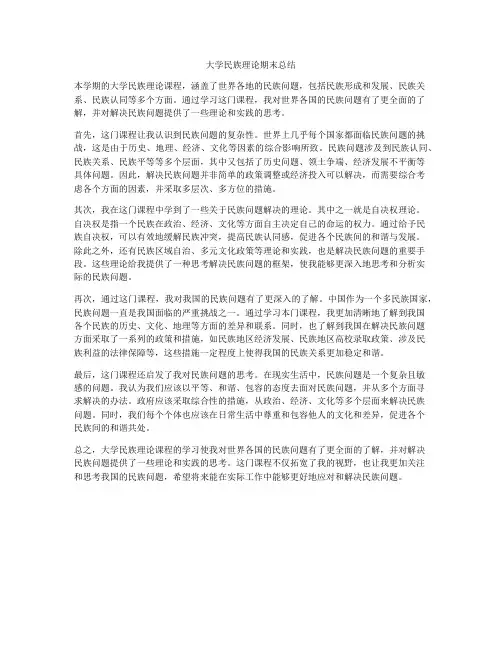 大学民族理论期末总结