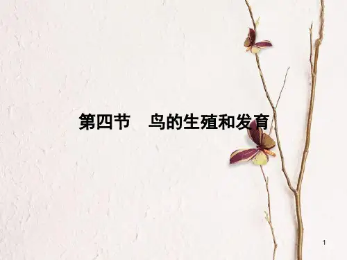 八年级生物下册 7.1.4 鸟的生殖和发育课件(新版)新人教版.pptx