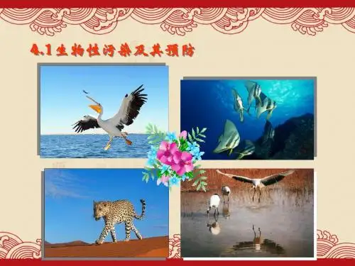 生物：4.1《生物性污染及其预防》(5)(精品课件)
