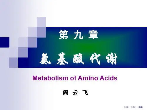 第09章氨基酸代-yyf谢